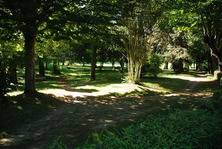 Le Parc De Pétrarque Image