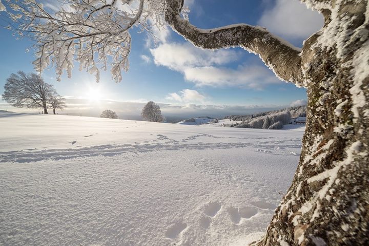 Hotel " Die Halde " Image