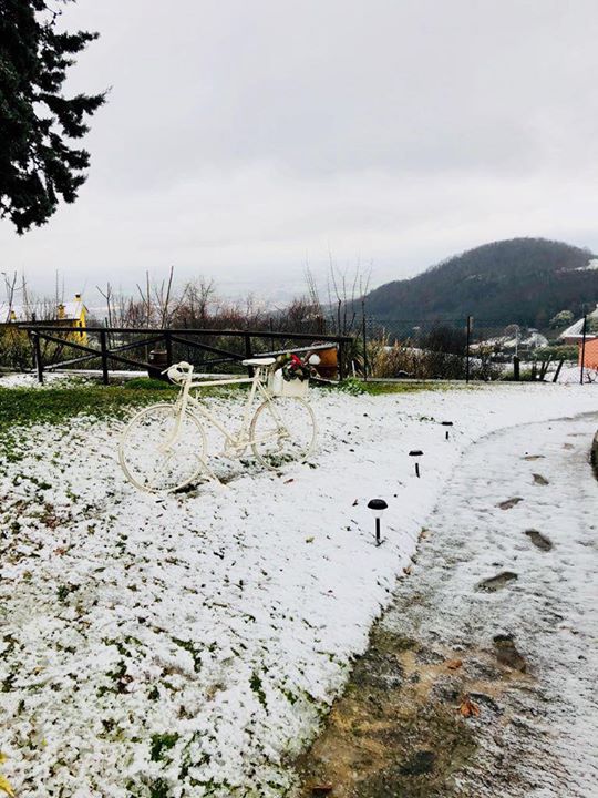 B&B La Casa Del Riccio Image