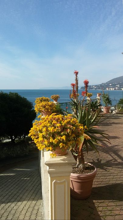 Albergo Eco del Mare Image