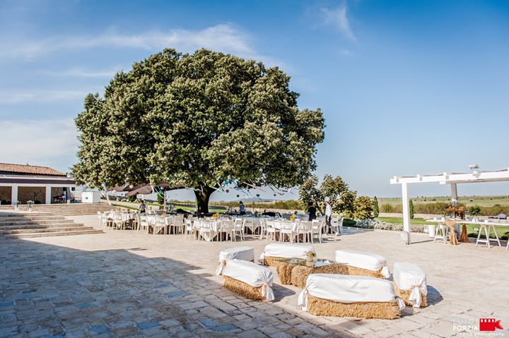 Masseria Torre di nebbia Image