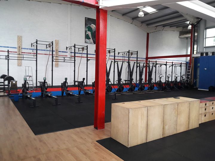 Wolfhound Fitness Image