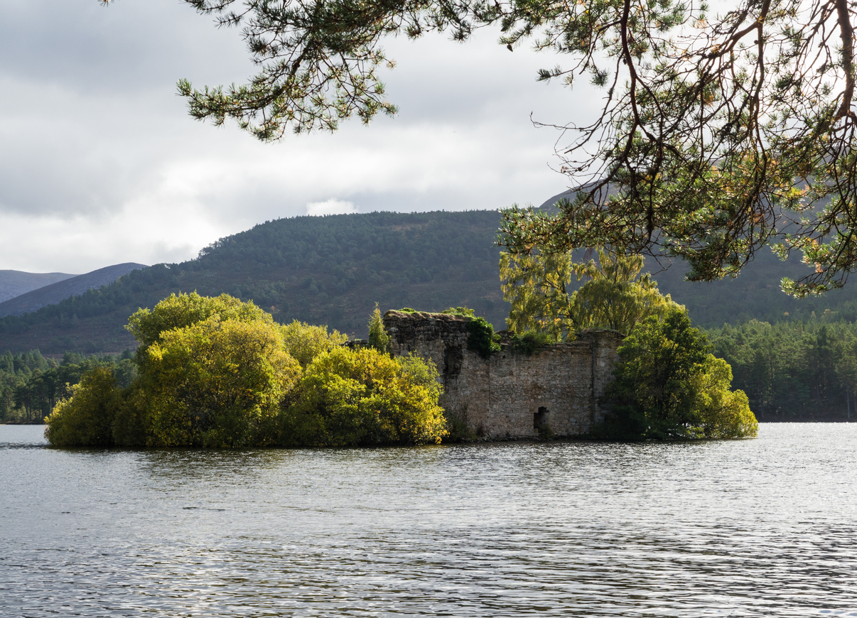 Loch An Eilen in the forest of Rothiemurchus Image