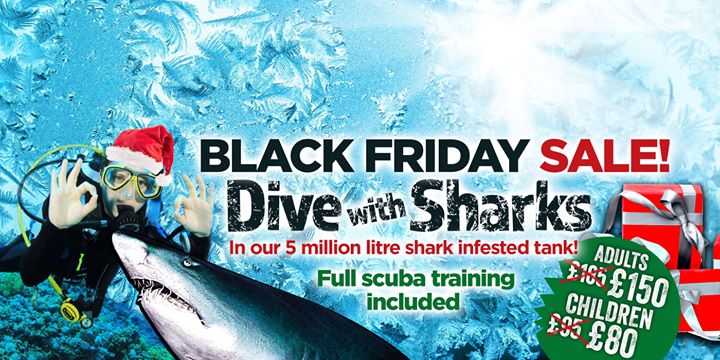 Deep Sea World Image