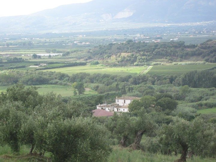 B&B Vaiana - Maida Image