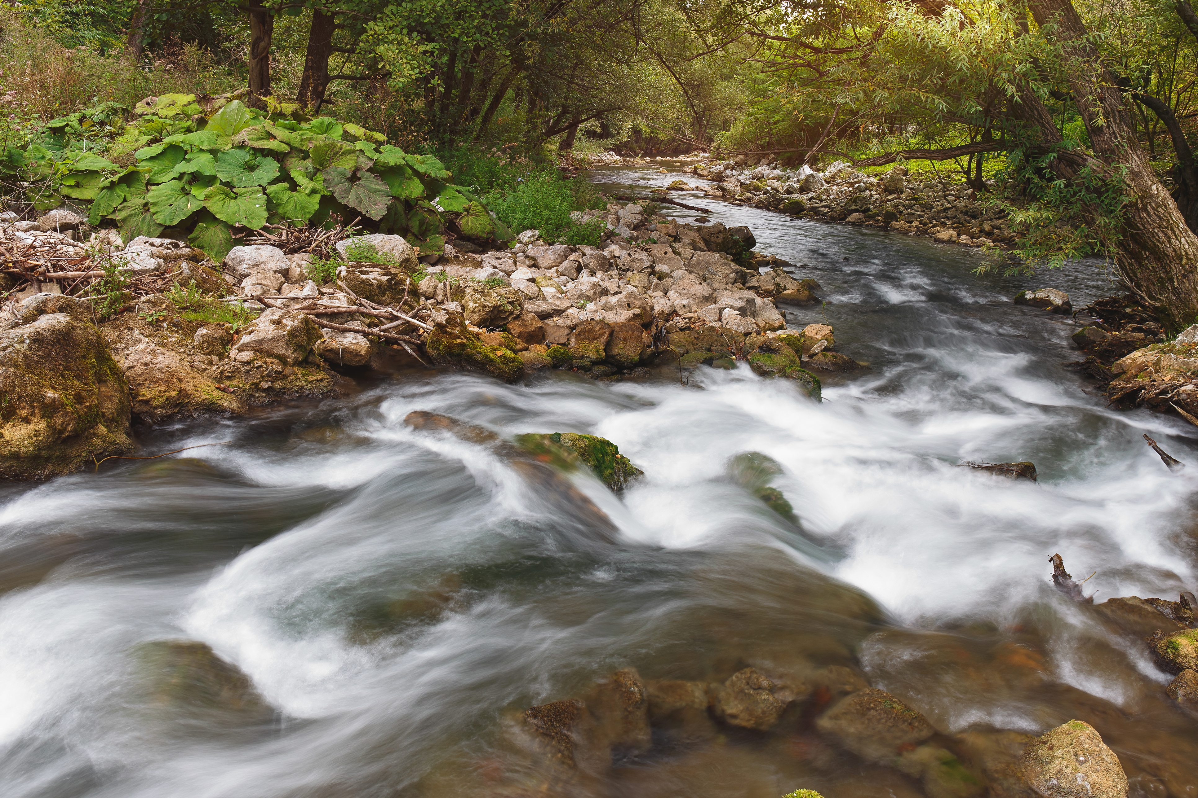 Gradac River Gorge, Valjevo Image