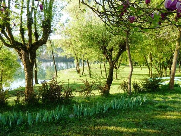 Lago Arenile Image