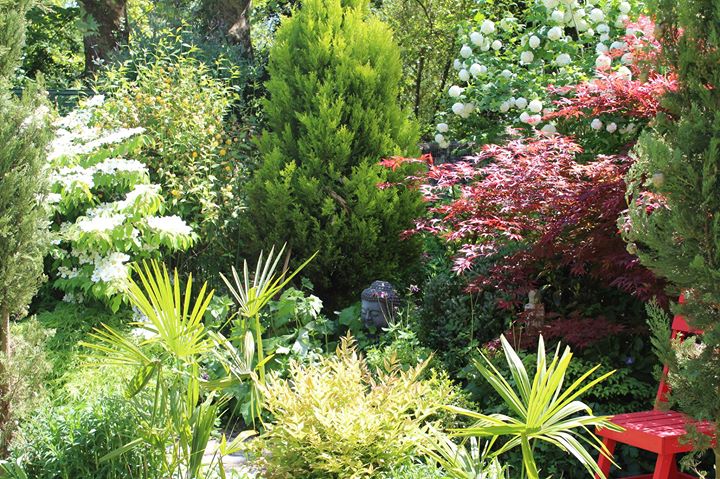 La grenade bleue Image