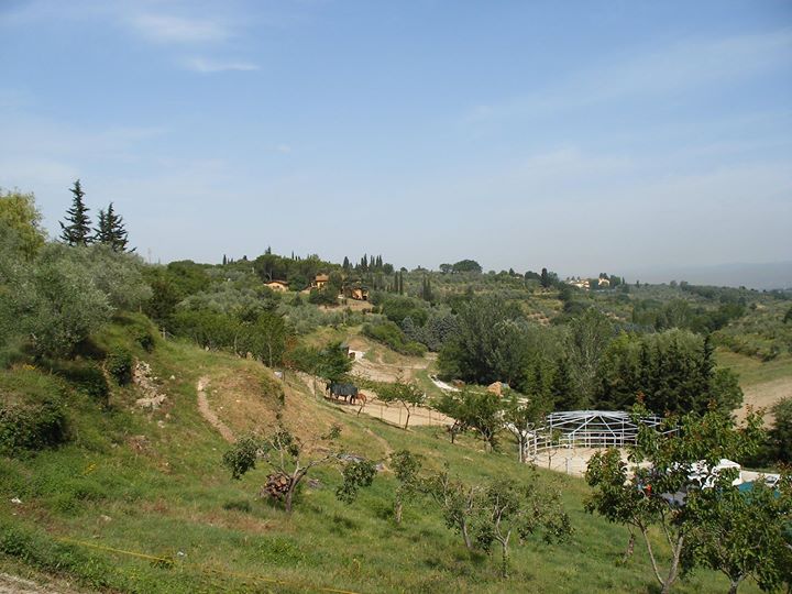 Centro Ippico IL BORRO DELLE SERRE equitazione Image