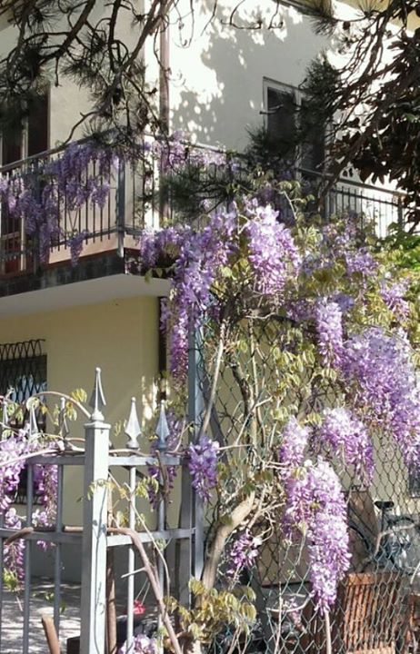Residenza Stelloni Image
