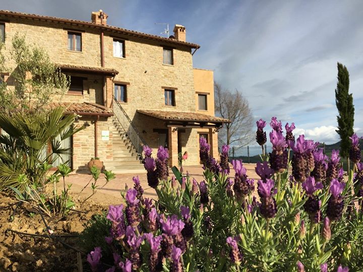 Casa Bracci B&B Image