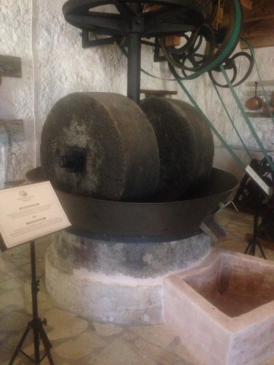 Fabbrica Olive Museum Image