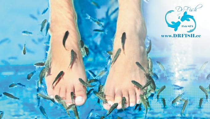 Fish Spa Tallinn Image