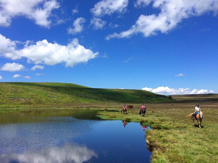 Freerein Horse Riding Holidays Image