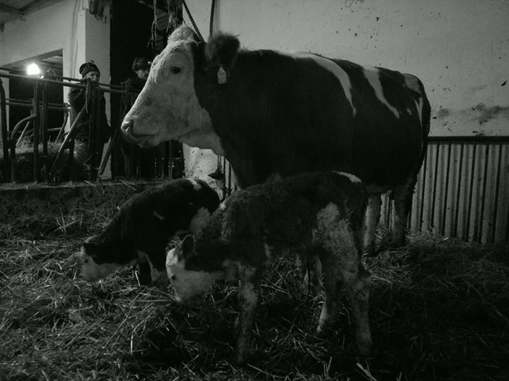 Agriturismo La Marpea Image