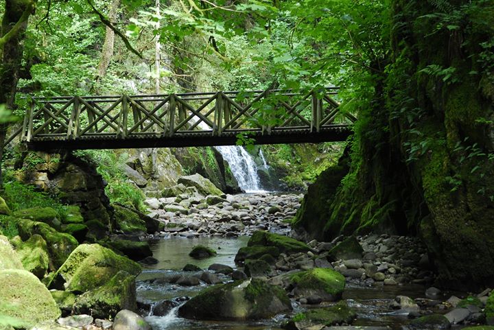 Camping du Champ de Roches Image