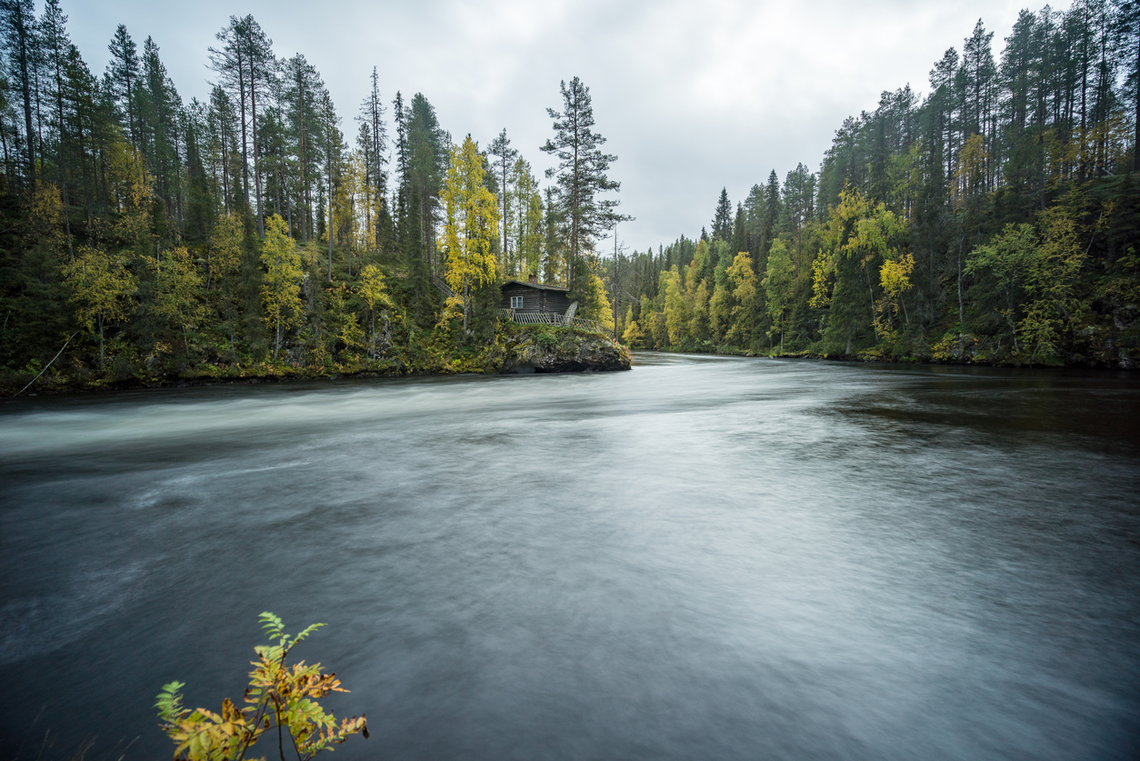 Oulanka National Park, Finland Image