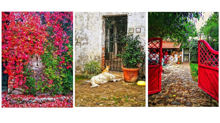 Agriturismo Giardino di Iti Image