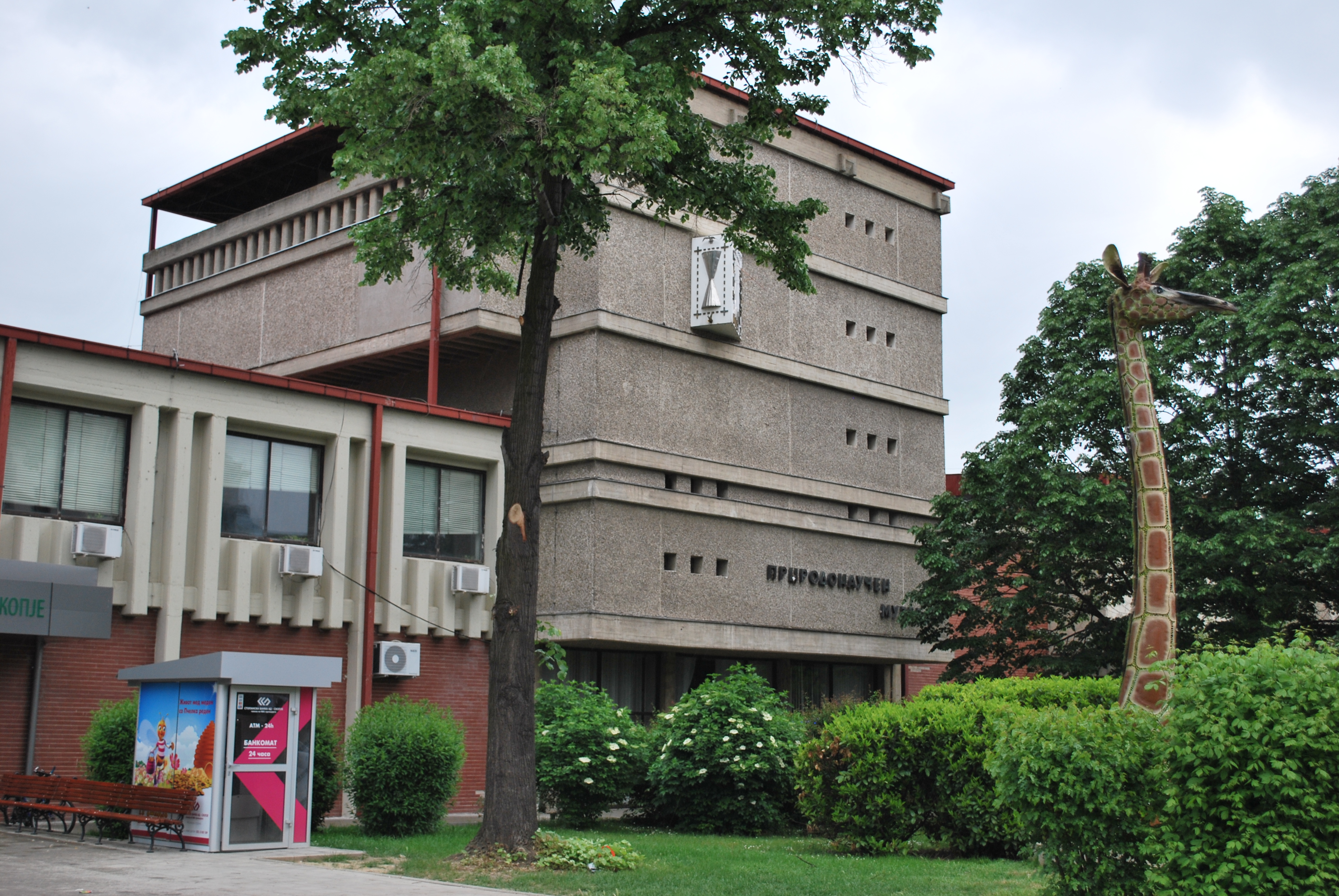 Macedonian Museum of Natural History Image