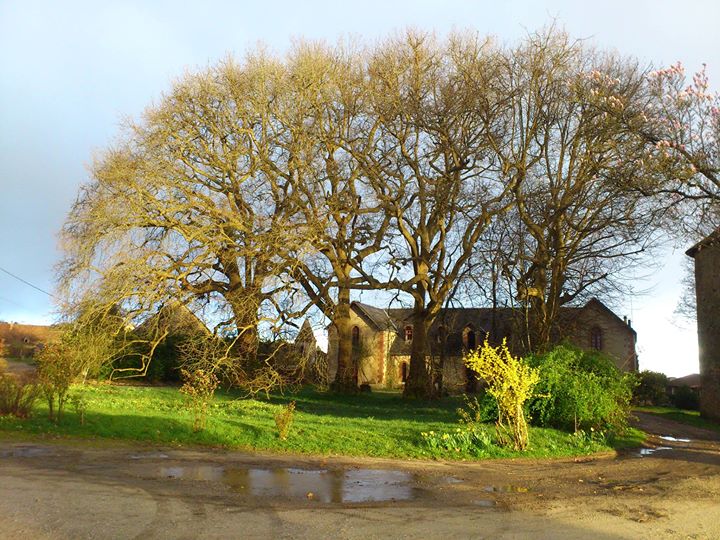 Château de Forsac Image