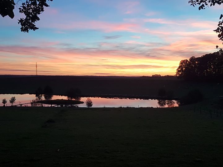 Les 4 étangs : pêche à la truite, carpe, friture dans les vosges Image