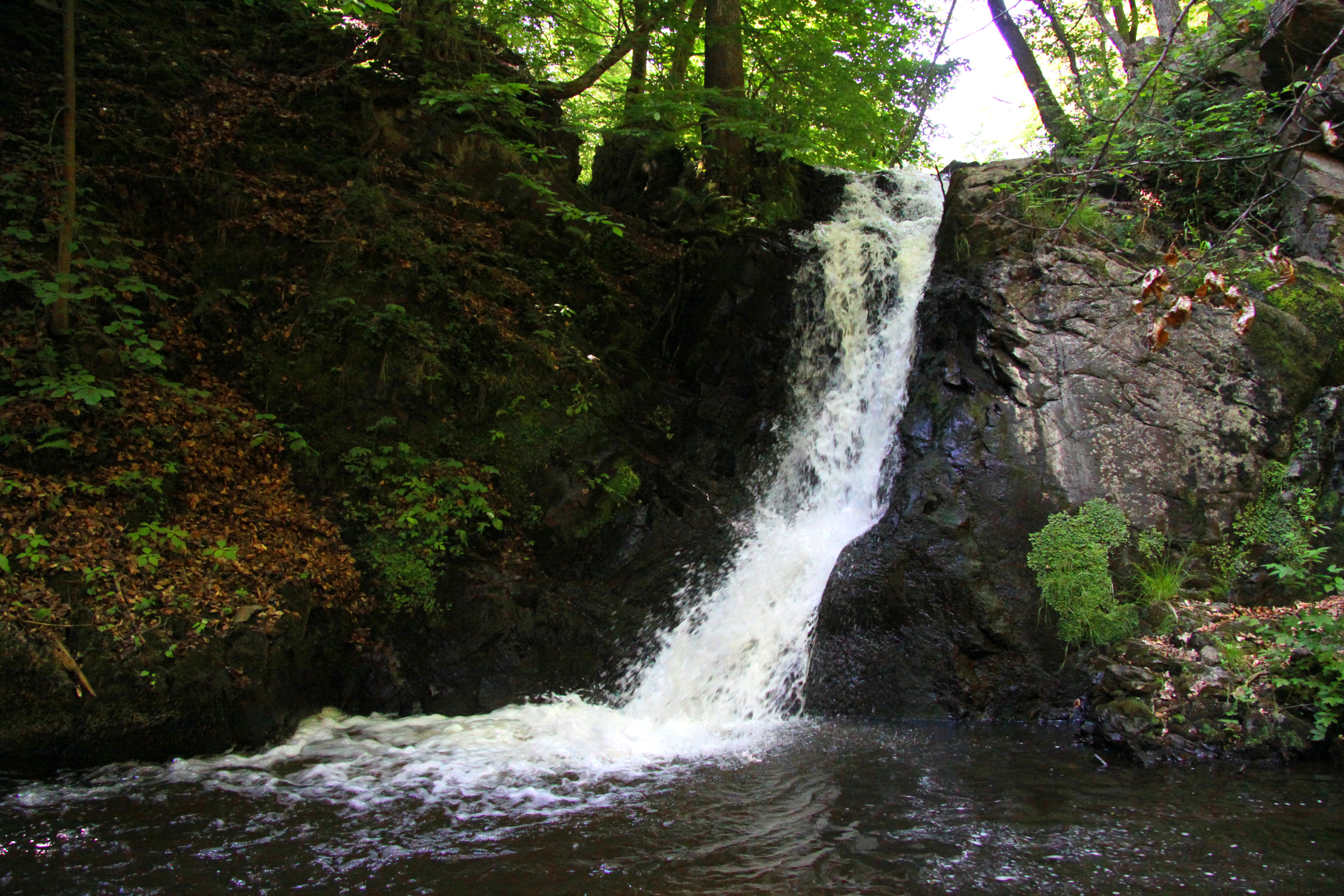 Forsakar Nature Reserve Image