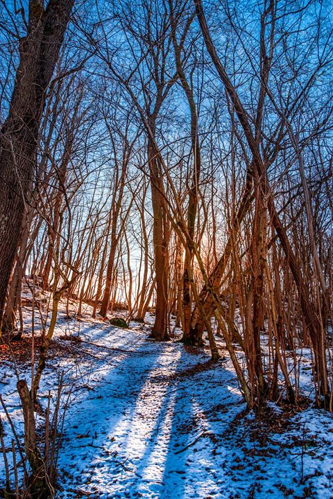 Parco Valle del Lanza Image