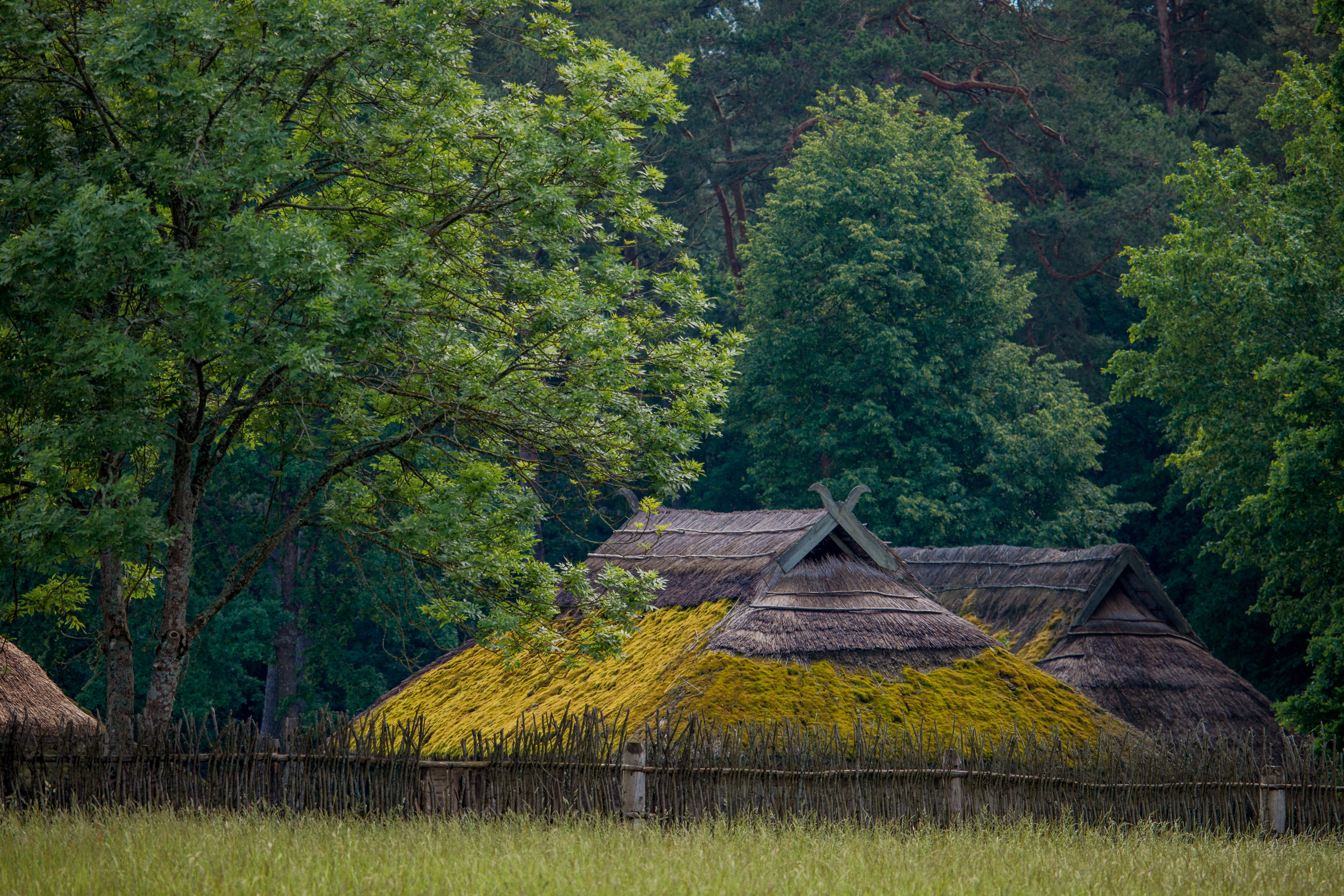 Lithuanian Folk Museum, Rumšiškės Image