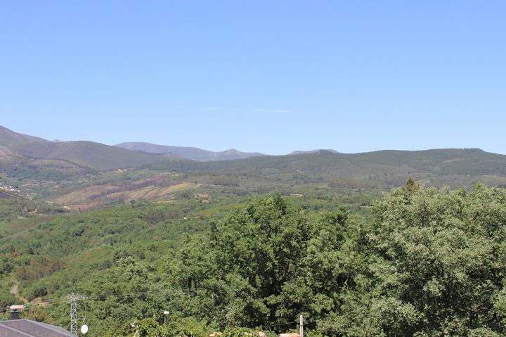 La Almazara Casa Rural Image