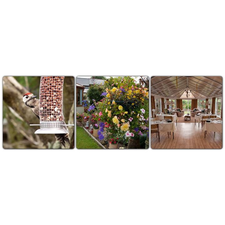 West Down Guest House, Bed and Breakfast Devon Image