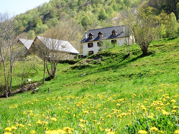 Le Begue - French pyrenean farmhouse gite Image