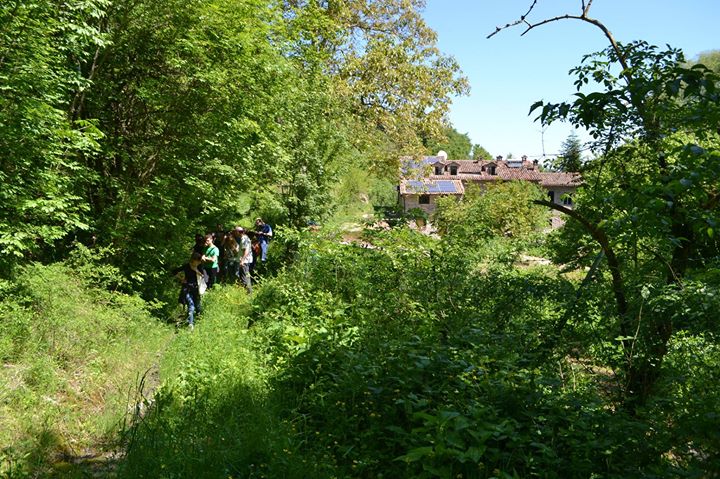 ValdericArte B&B e creative residence di Maria Stella Rossi Image