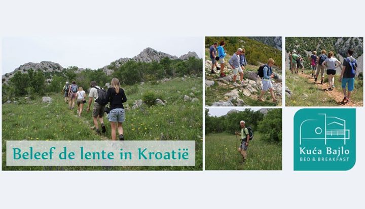 B&B Kuca Bajlo in Kroatië Image