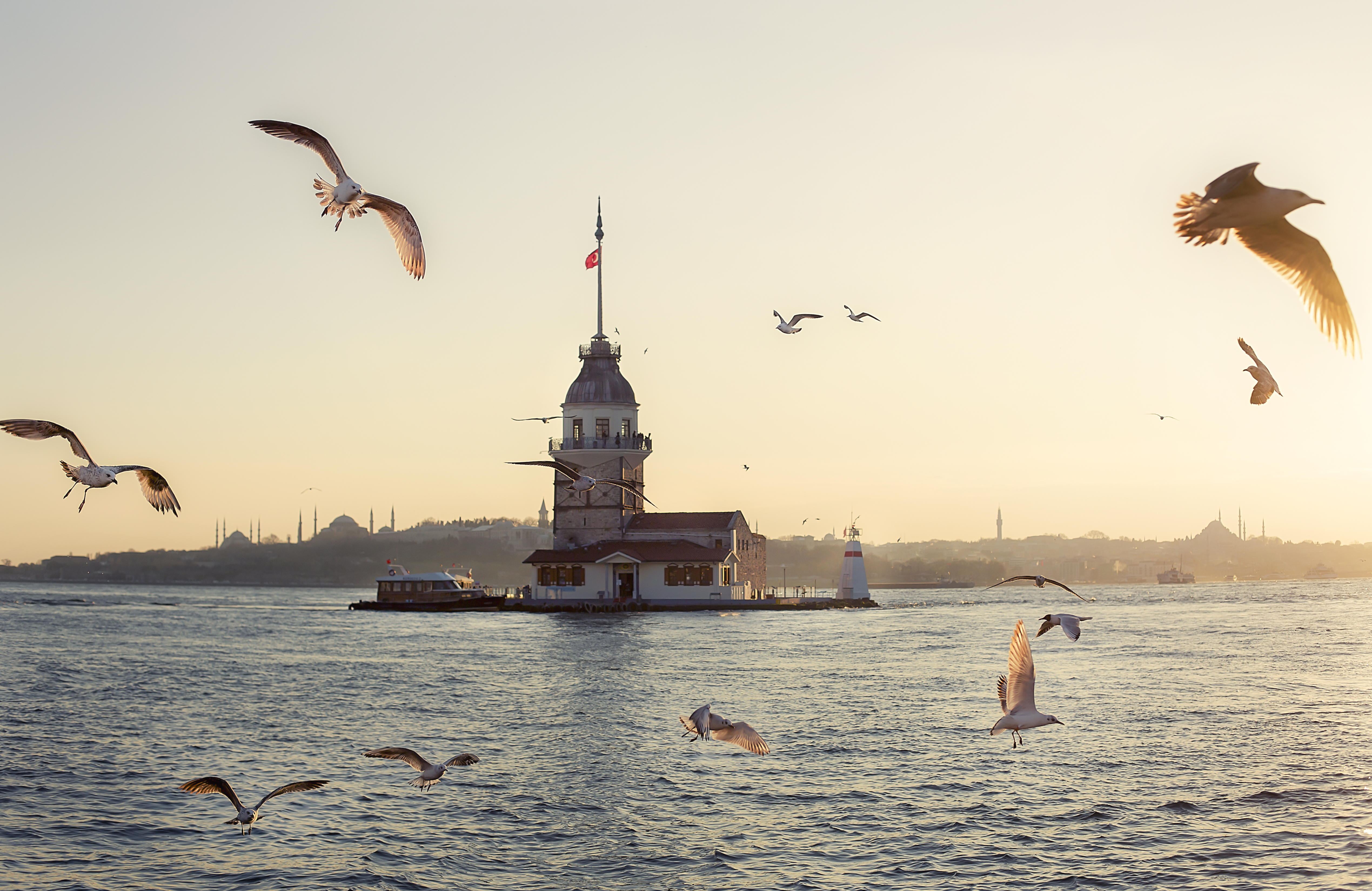 Maiden's Tower Image