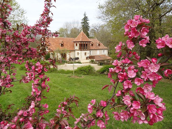 Chambres d'hôte Rocamadour : Moulin de Méjat Image
