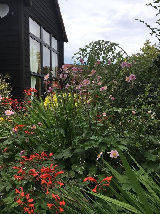 Becketts Bed and Breakfast Image