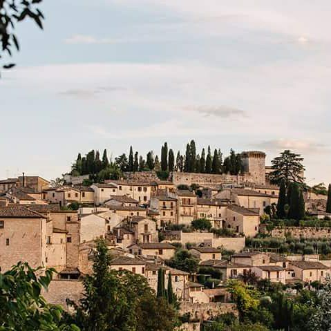 B&B Fior Fiore Image
