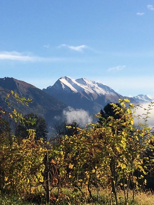 Agriturismo Dagai Image