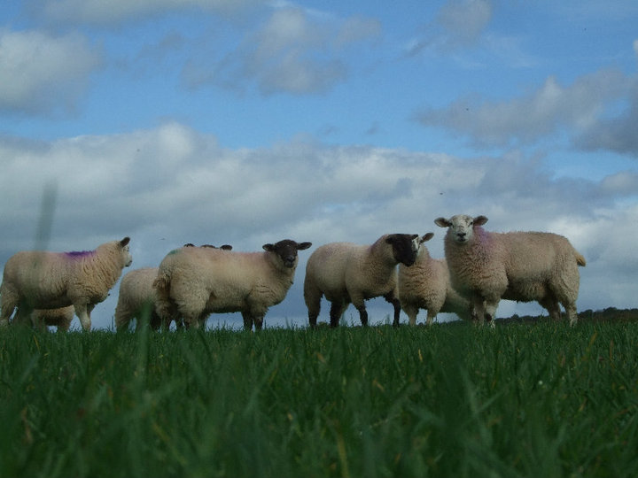 Glasvalley Farm Image