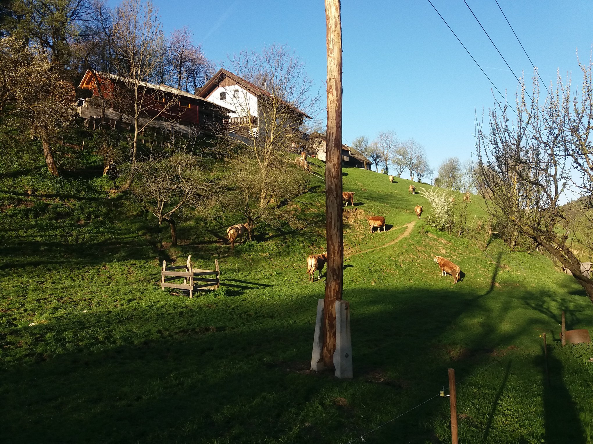 Kmetija Pr' Gabršk, Slovenia Image