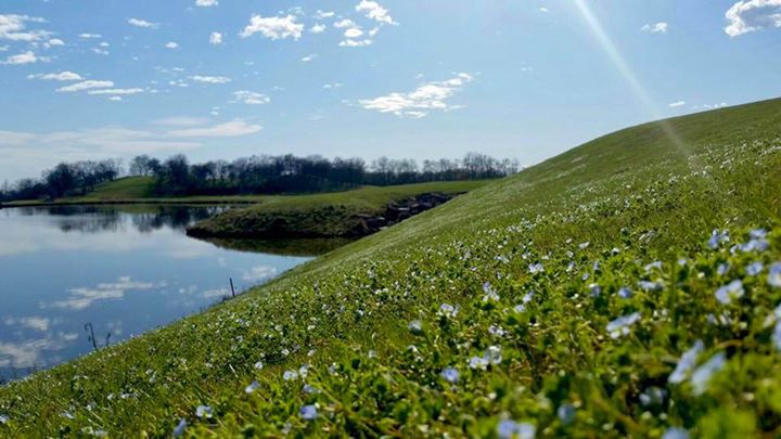 Arzaga Golf Club Image