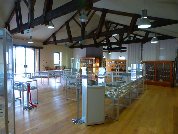 Musée Archéologique de Pons Image