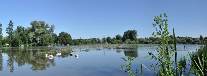 Chambres d'hôtes et Gite  la grange de la herde Camon Amiens Image