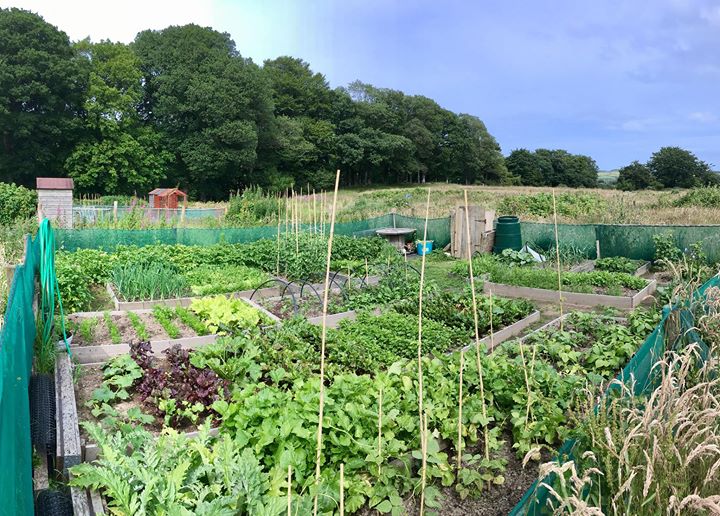 Glencullen Farm Image