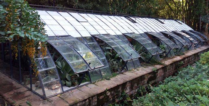 Jardín Botánico - Histórico La Concepción Image