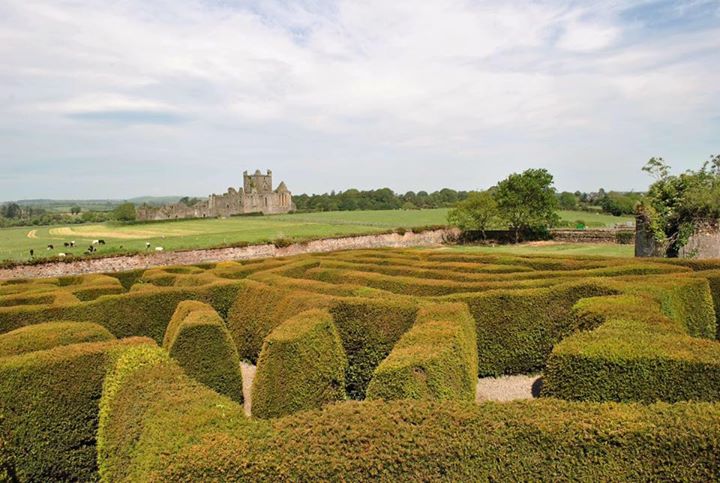 Dunbrody Abbey Image