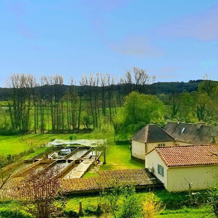 Pisciculture du moulin de guiral Image