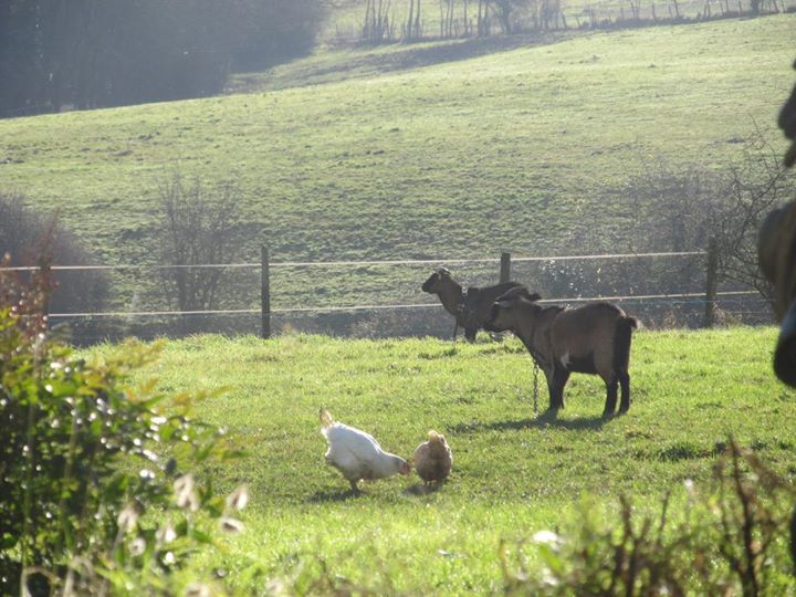 Chambres d'hotes Maison Prairie Bonheur Image