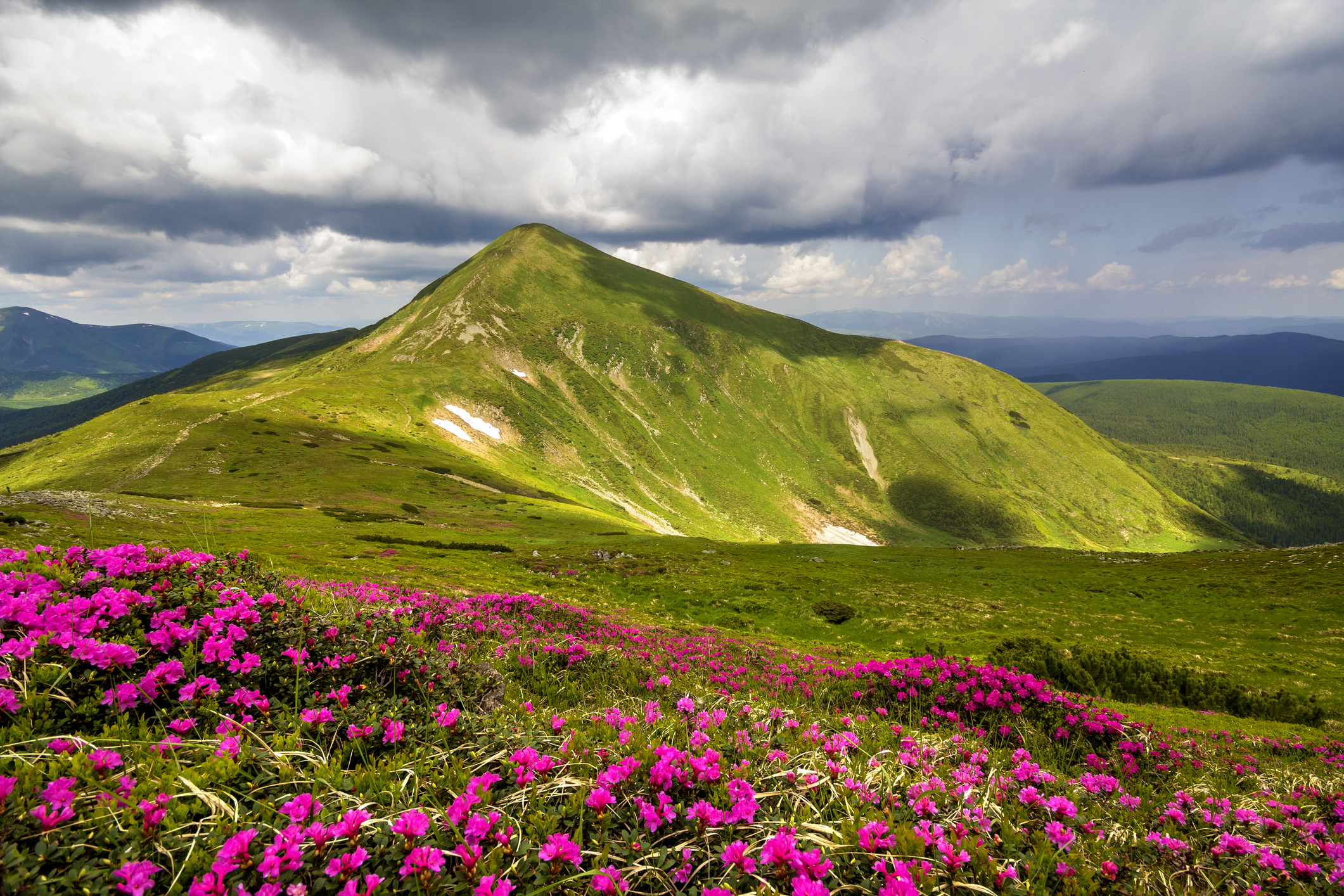 Mt. Hoverla, the Carpathian Mountains Image