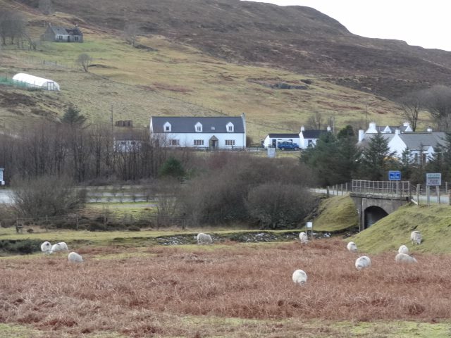 Brae View Bed and Breakfast Image